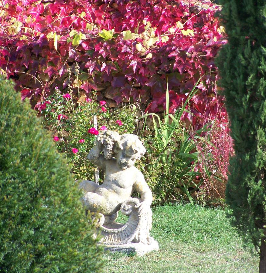 La Charmeraie Bed & Breakfast Saint-Cirq  Exterior photo